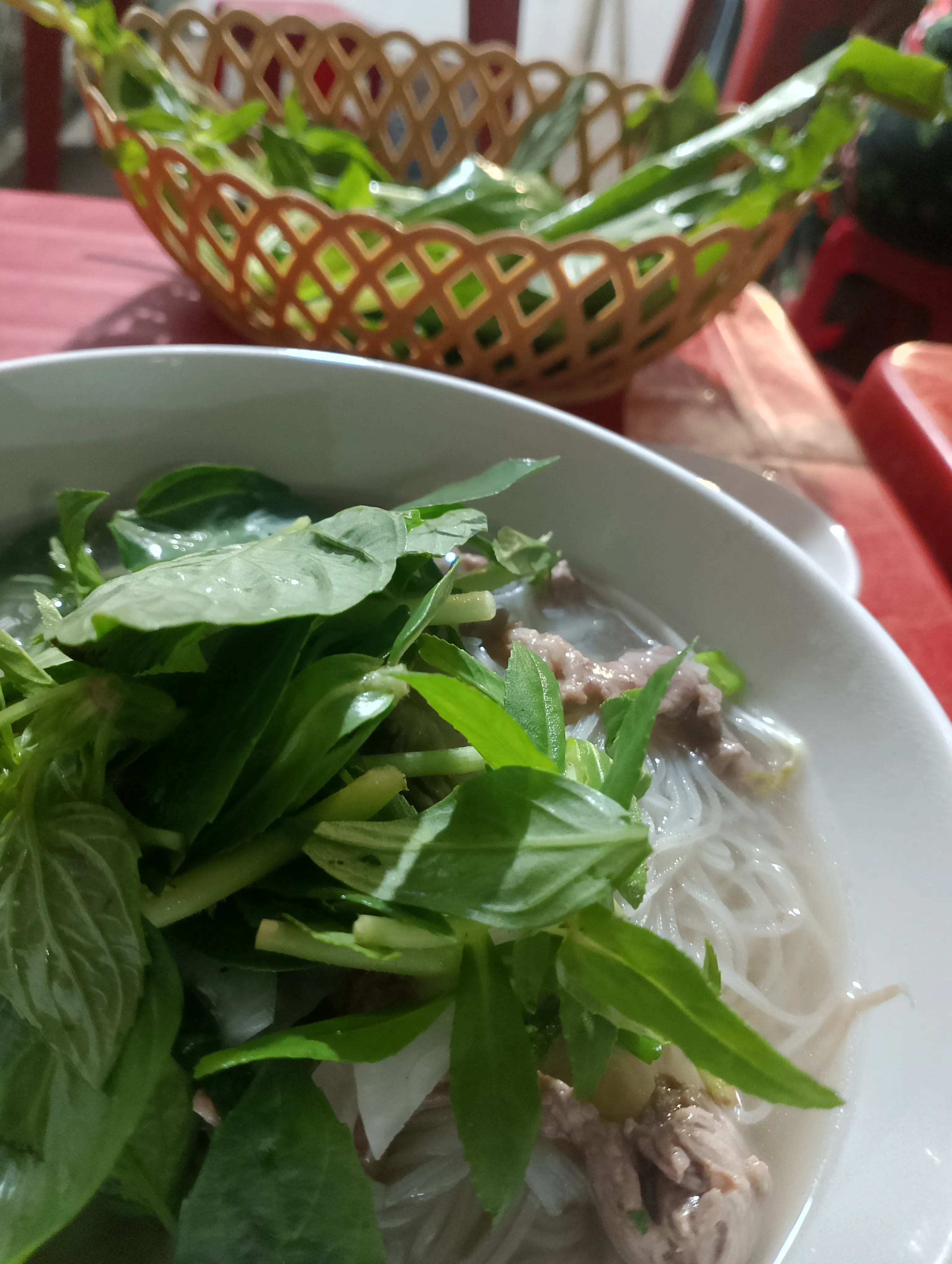 Nguyễn Quốc Bảo Avatar