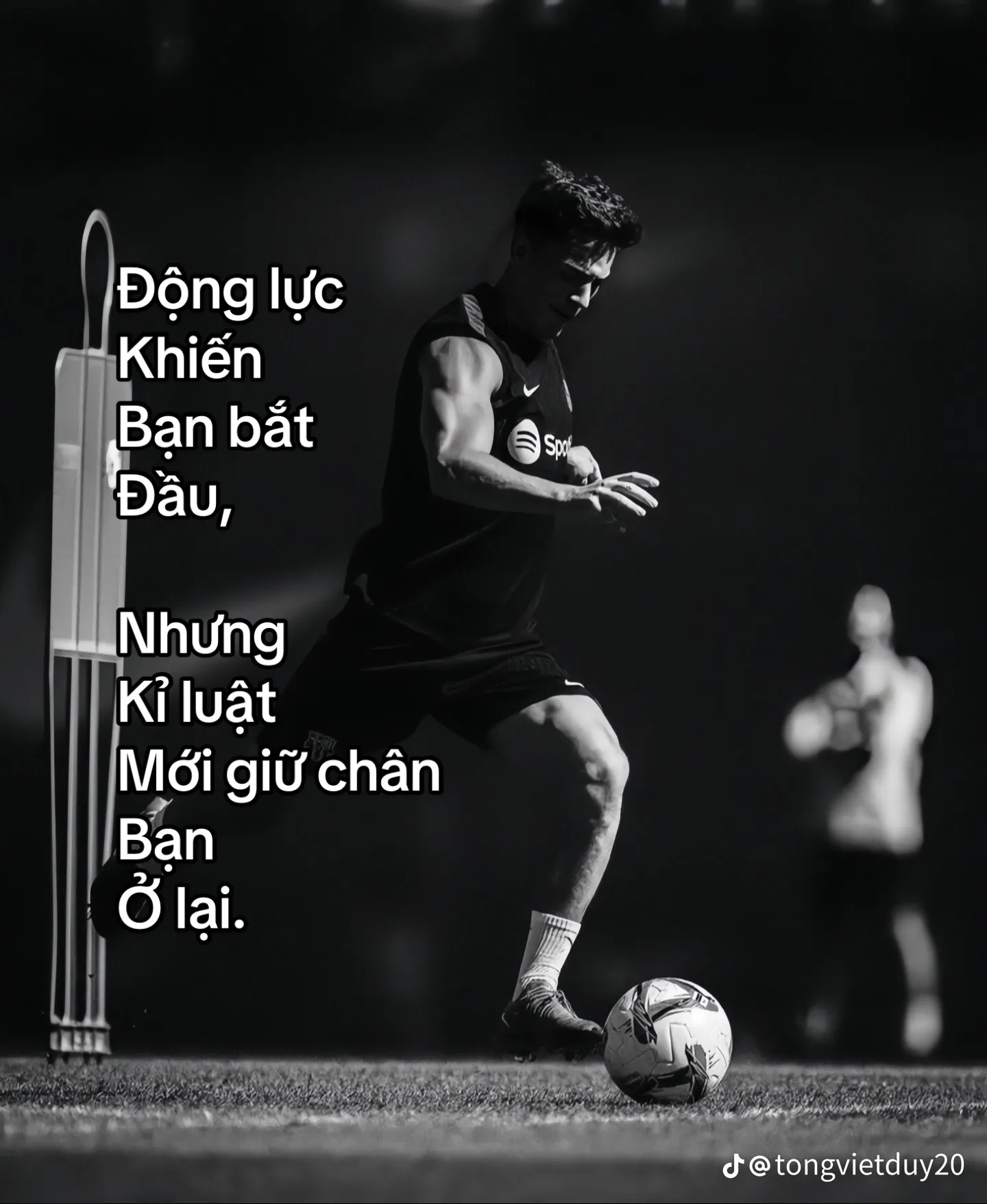 Đức Anh Tran Văn Avatar
