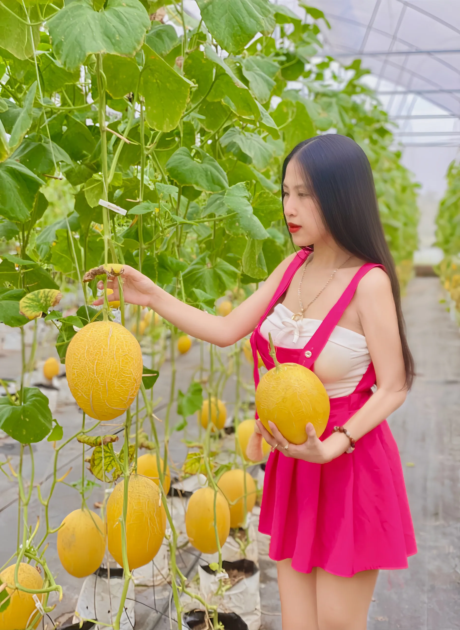 phuong dao Avatar