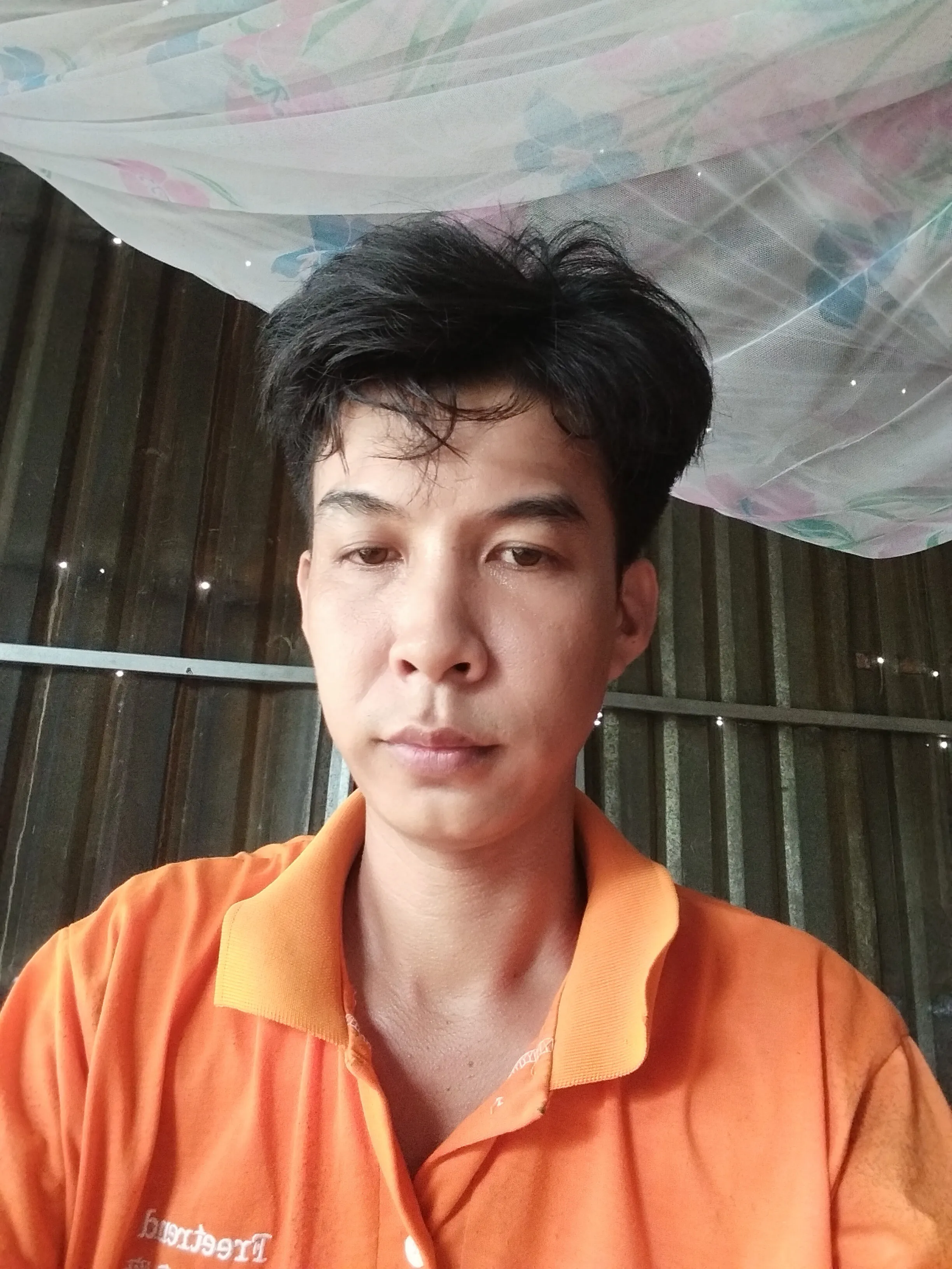 No Nguyenvan Avatar