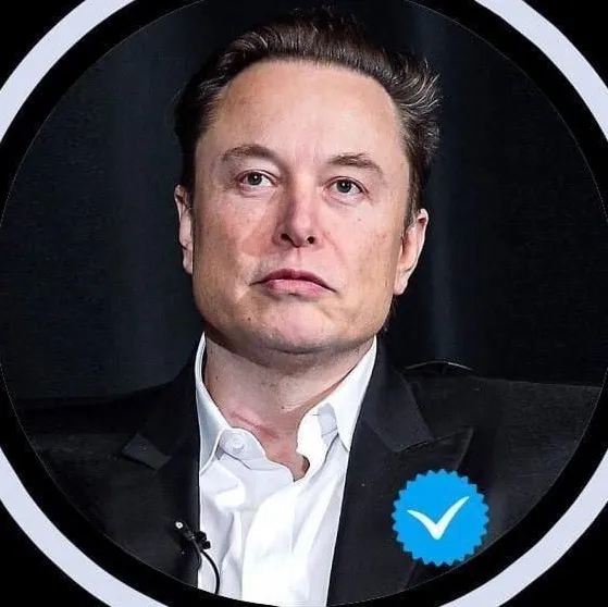 Elon musk official Avatar