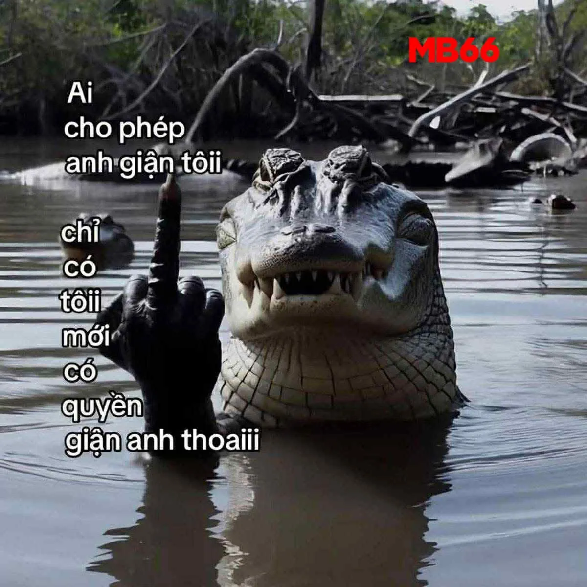 miễn phí Avatar