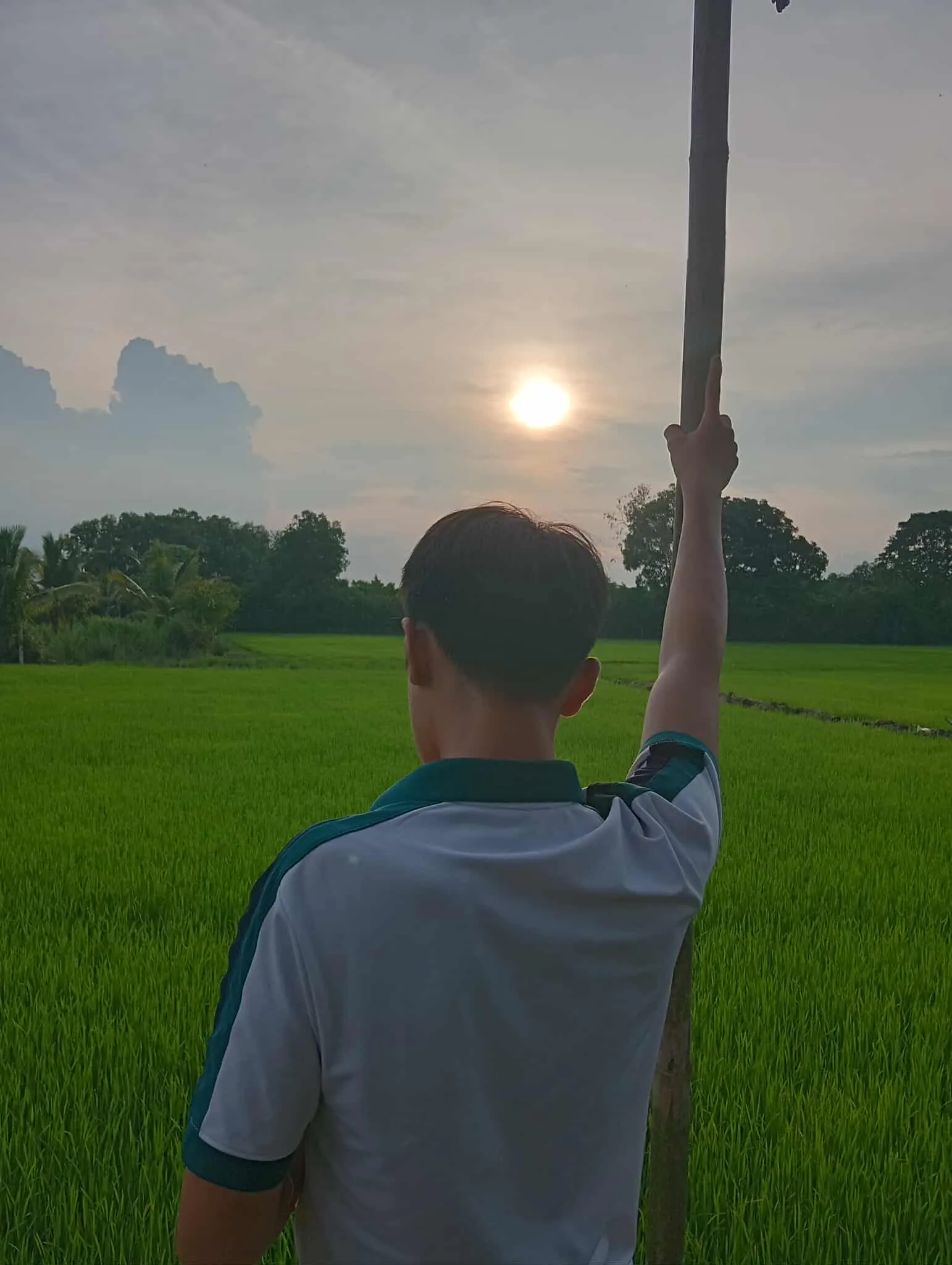 Hô Ho huy hoang Avatar